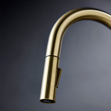 Load image into Gallery viewer, UNO Goose Neck Kitchen Mixer CW POS Brushed Brass