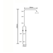Load image into Gallery viewer, Outdoor Twin Full Shower with 250 Rainhead Aged Copper
